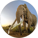 lucas graham profile picture