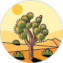 TheBigTraveller profile picture